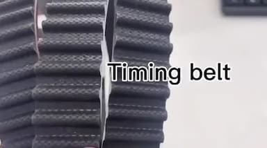 bincial