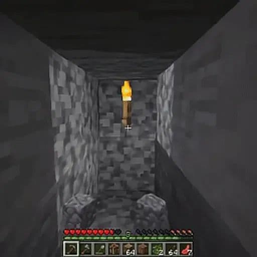 Image 39